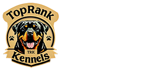 Top Rank Kennels | Premium Rottweiler Breeder in Kampala
